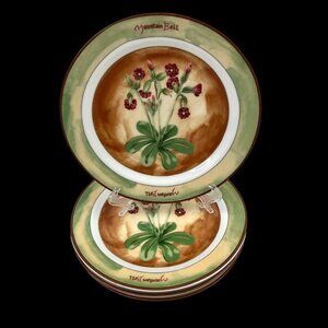 Epoch Collection Set of 4 Salad Plates Spice Pavilion Mountain Bell 7 5/8"